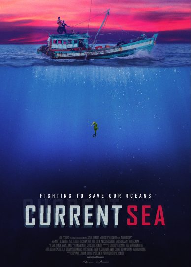 Current Sea Cover