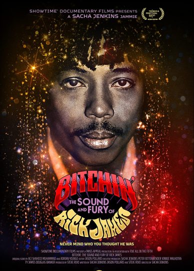 Bitchin': The Sound and Fury of Rick James Cover