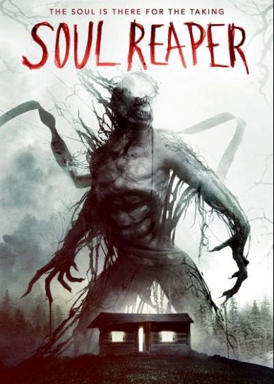 Soul Reaper Cover