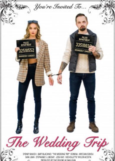 The Wedding Trip Cover