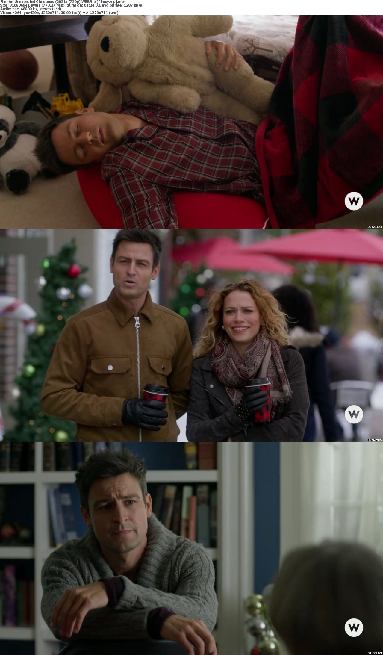 Watch An Unexpected Christmas (2021) Full Movie on Filmxy