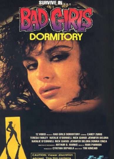 Bad Girls Dormitory Cover