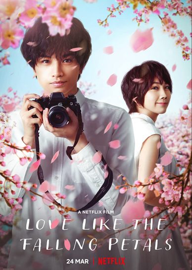Love Like the Falling Petals Cover