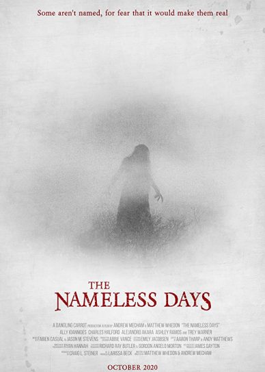 The Nameless Days Cover