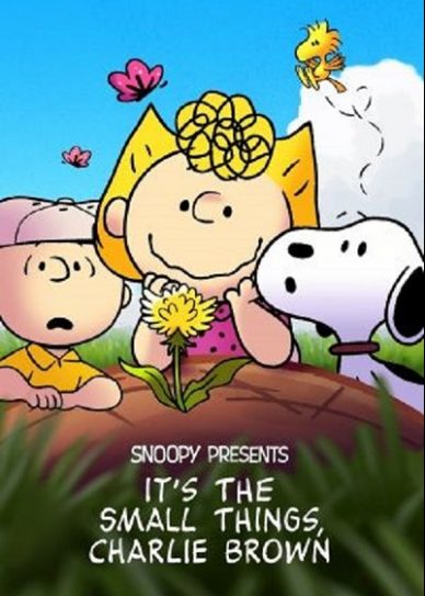 Snoopy Presents: It's the Small Things, Charlie Brown Cover