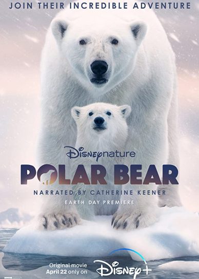 Polar Bear Cover