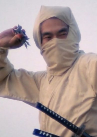 Re-Enter the New York Ninja Cover