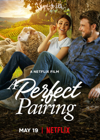 A Perfect Pairing Cover