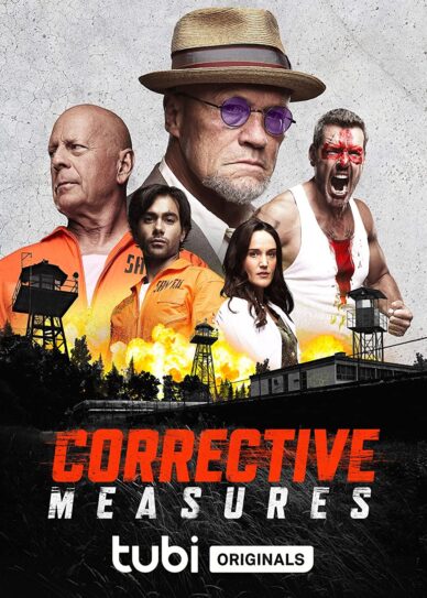 Corrective Measures Cover