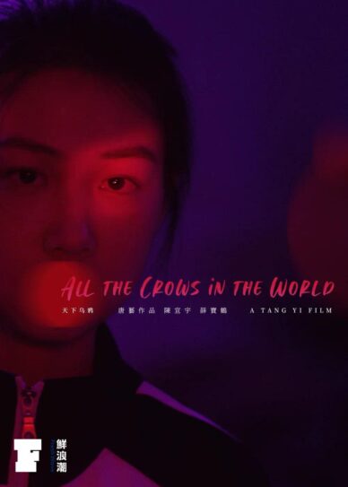 All the Crows in the World Cover
