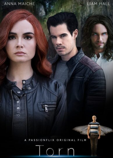 Torn: A Wicked Trilogy Cover