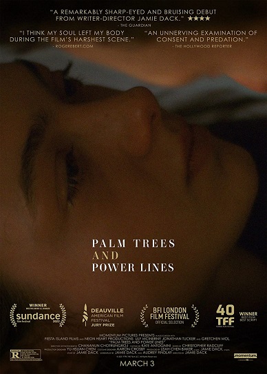 Palm Trees and Power Lines Cover