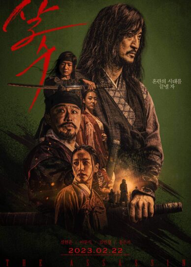 The Assassin Cover
