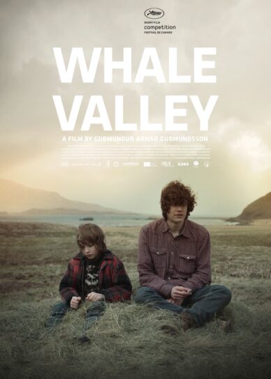 Whale Valley Cover