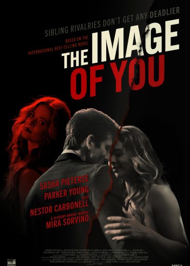 The Image of You Cover
